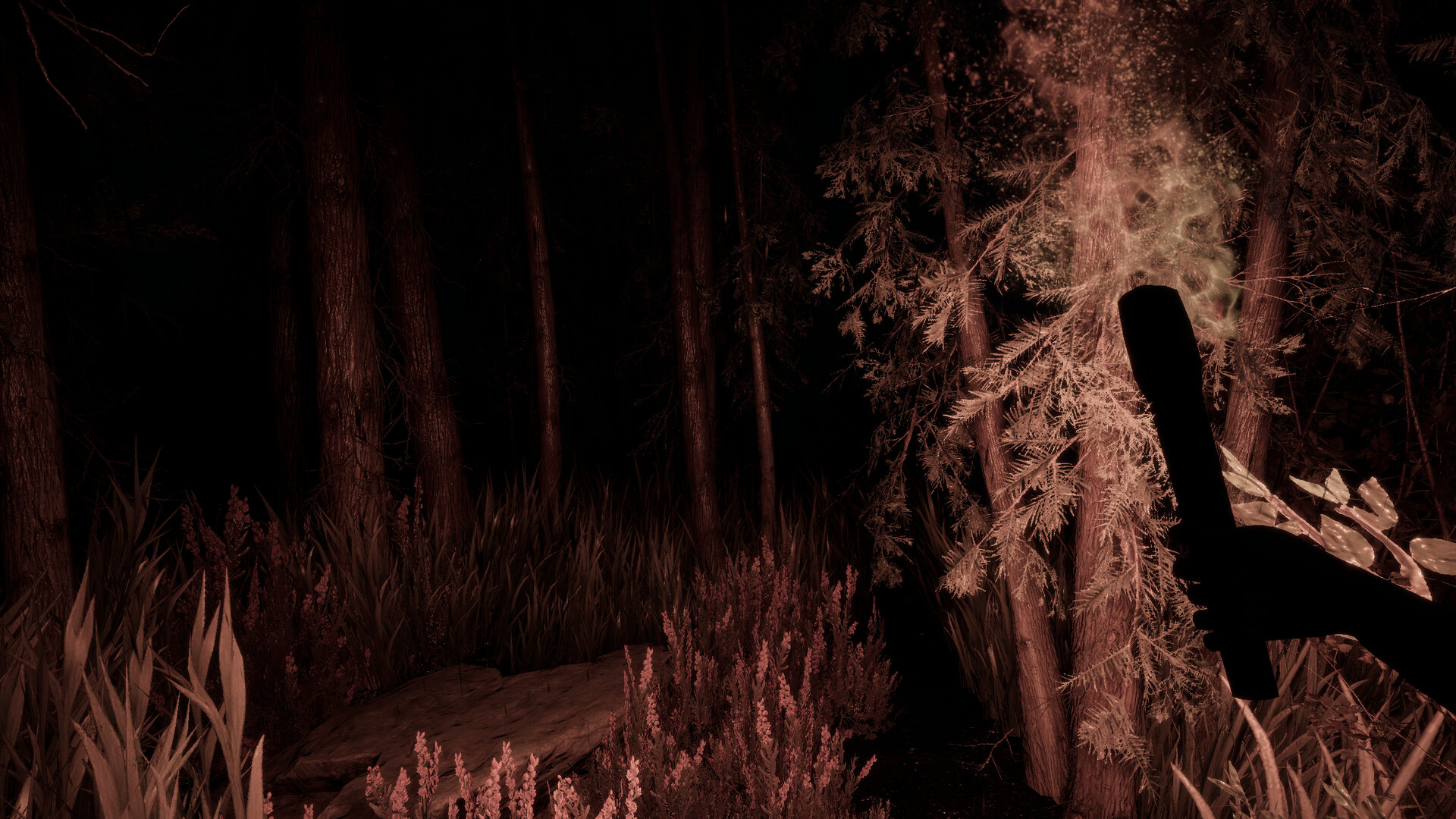 STILL BOUND screenshot #10