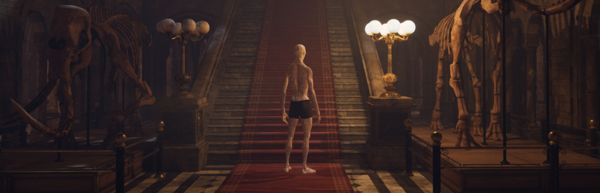 Echoes of the Museum