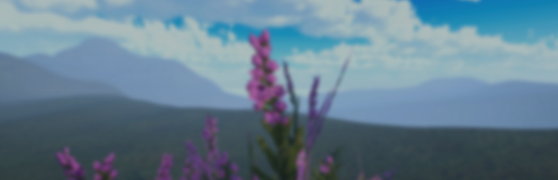 The Little Grass Simulator