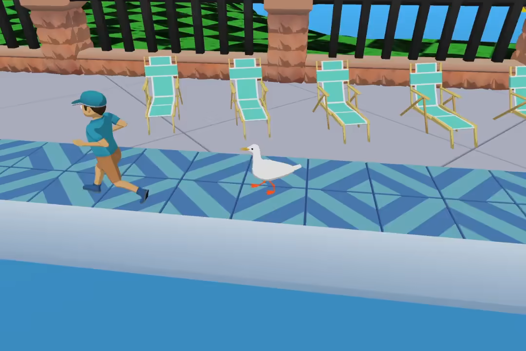Seagull Simulator video 1