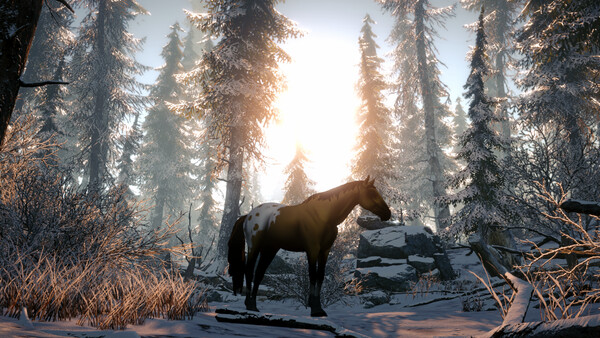 Galloping Dream screenshot 5