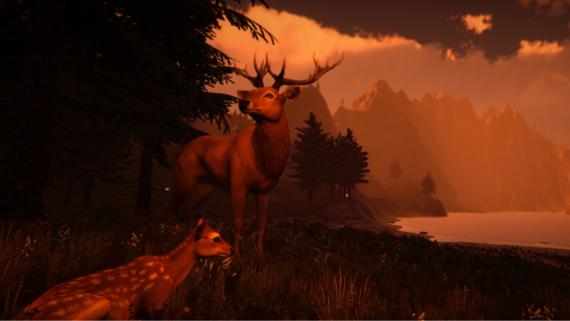 Galloping Dream screenshot #4