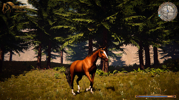 Galloping Dream screenshot 4