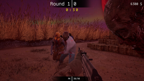 Freedom Fighters Flood screenshot 2