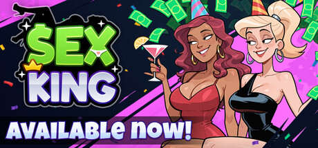 Sex King: From Rags to Sexcess cover