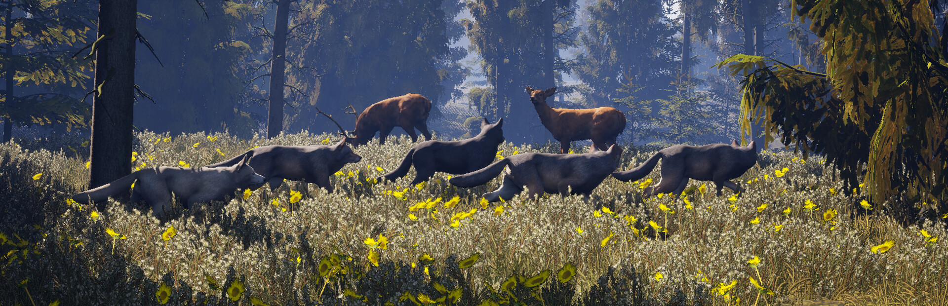 Susia - Wolf Life Simulator