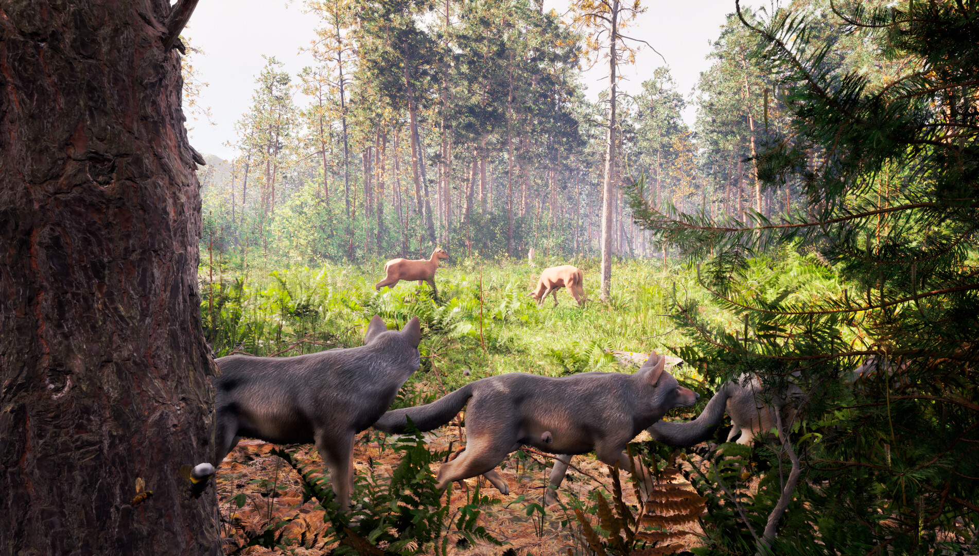 Susia - Wolf Life Simulator screenshot 4