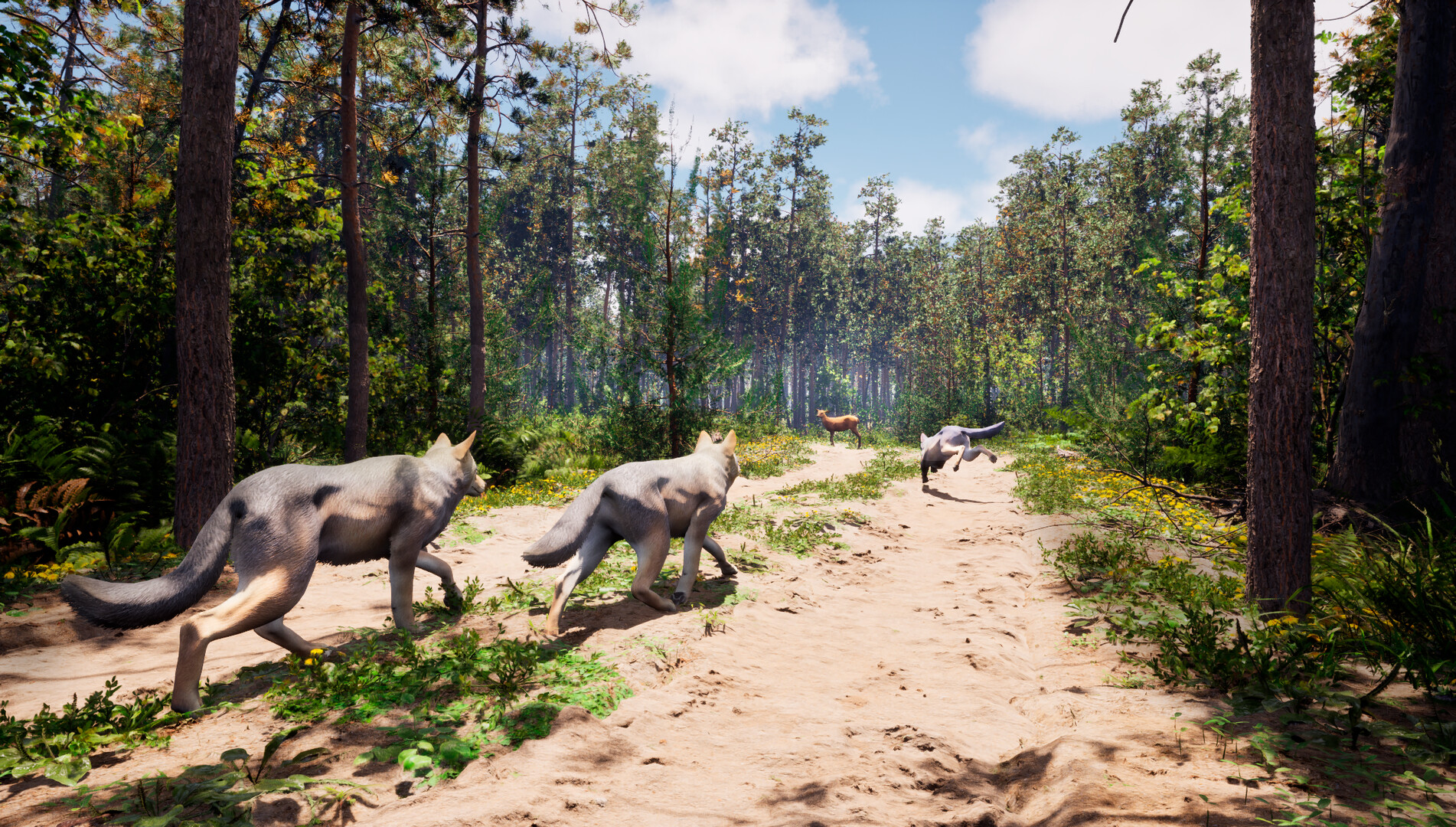 Susia - Wolf Life Simulator screenshot 2