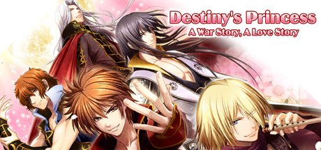 Destiny's Princess: A War Story, A Love Story Cover Image
