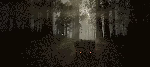 LIFE EFFECT Survival video 1
