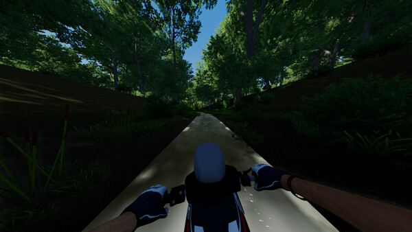 PWC Simulator screenshot 5