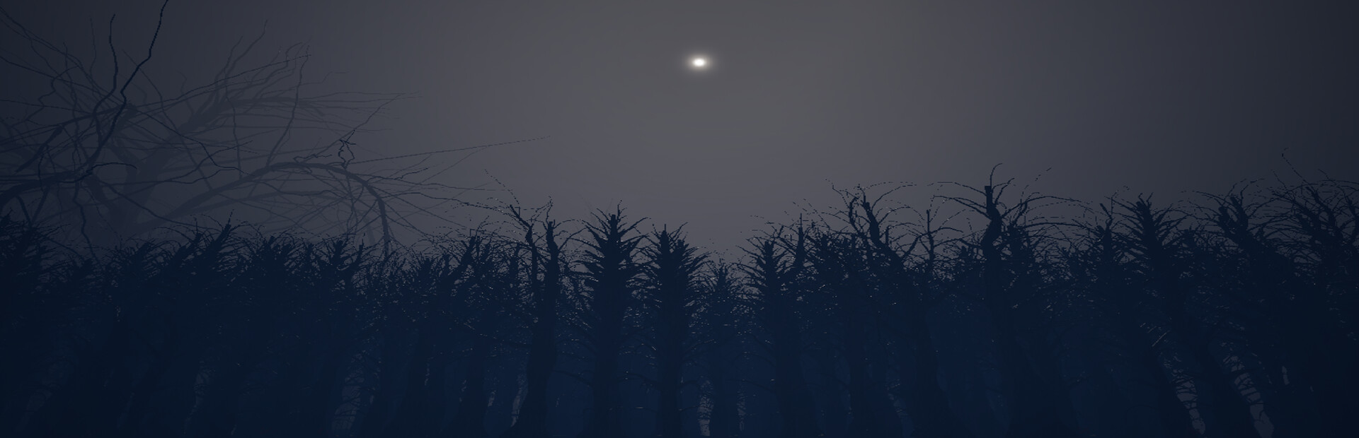 The Woods
