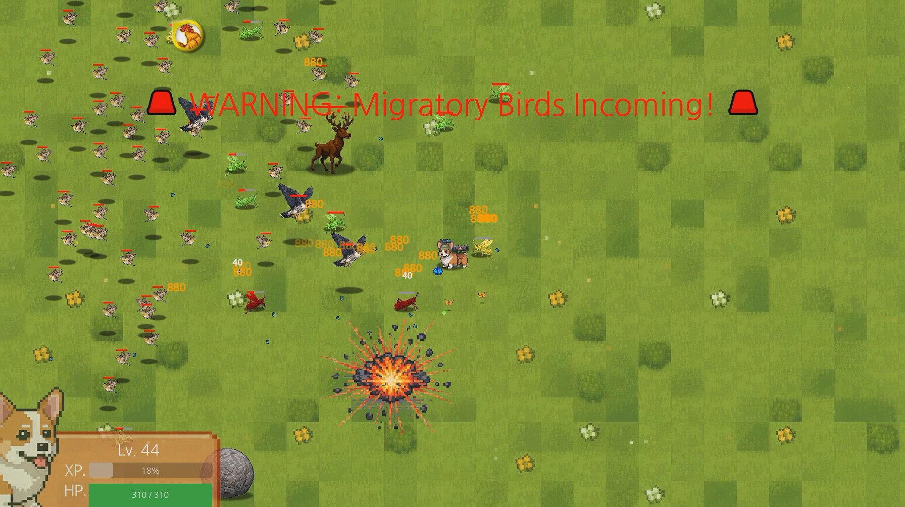 Corgi Survivor Featured Screenshot #1