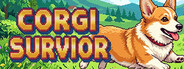 Corgi Survivor
