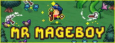 MR MAGEBOY