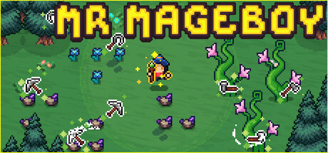 MR MAGEBOY