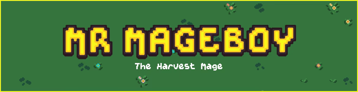 MR MAGEBOY video 1