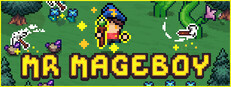 MR MAGEBOY