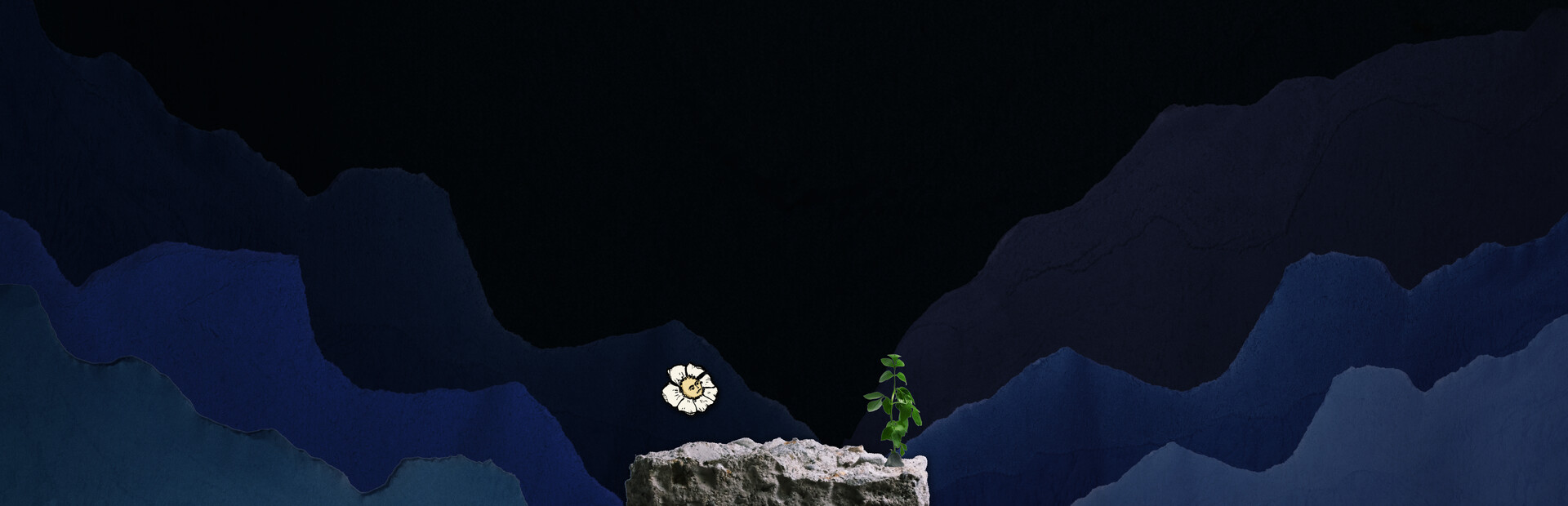 A Lovely Night