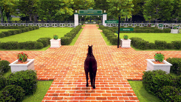 Derby Champions screenshot 6