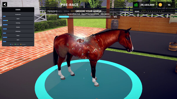 Derby Champions screenshot 9