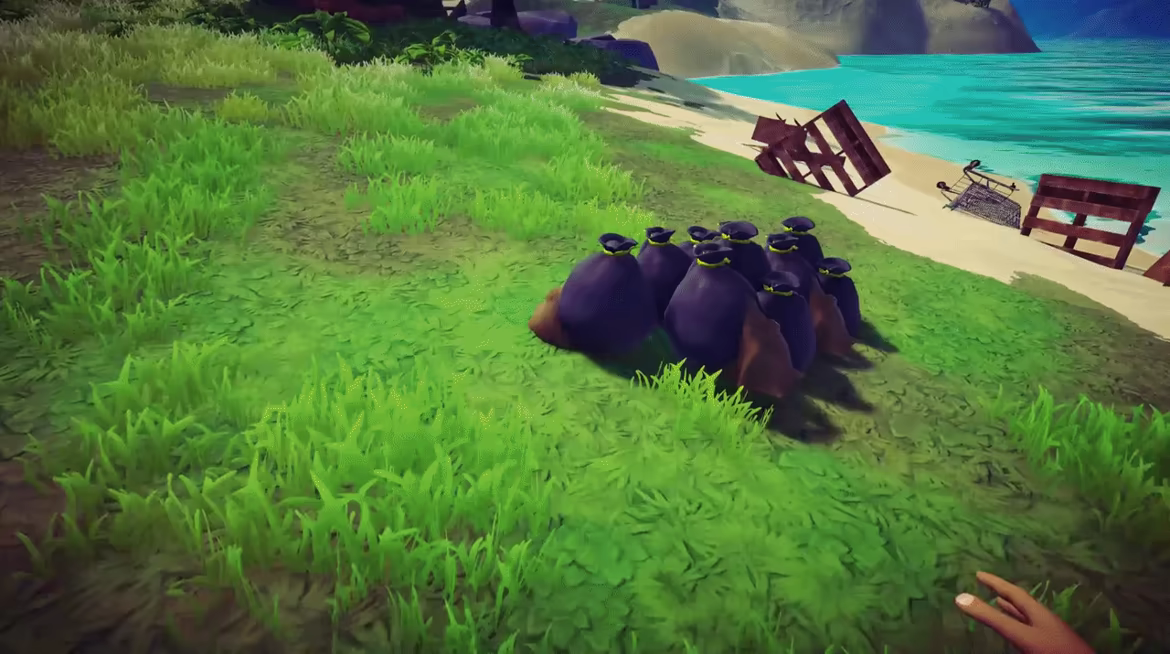 Cozy Shores video 4