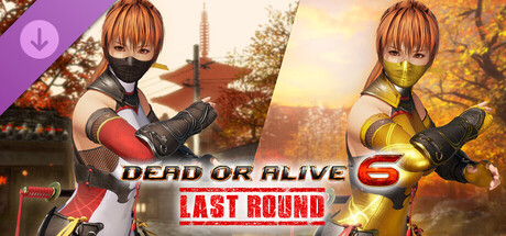 Morphing Ninja Costume - Kasumi