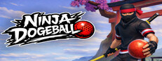 Ninja Dodgeball