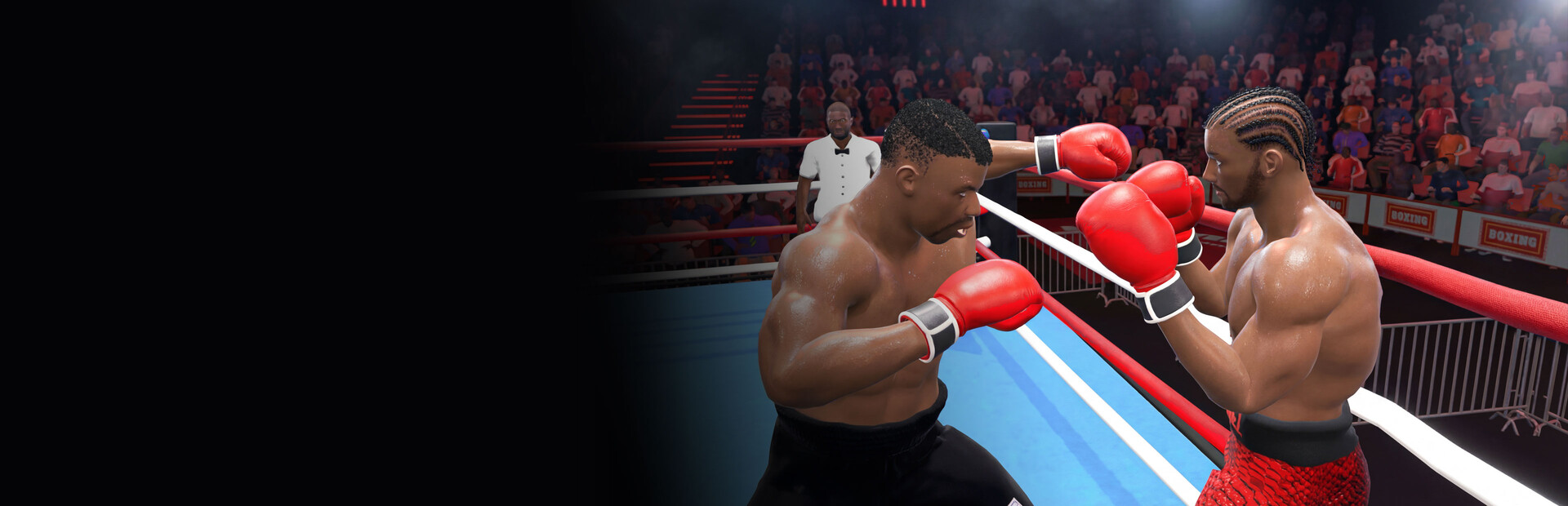 Pro Sports Boxing