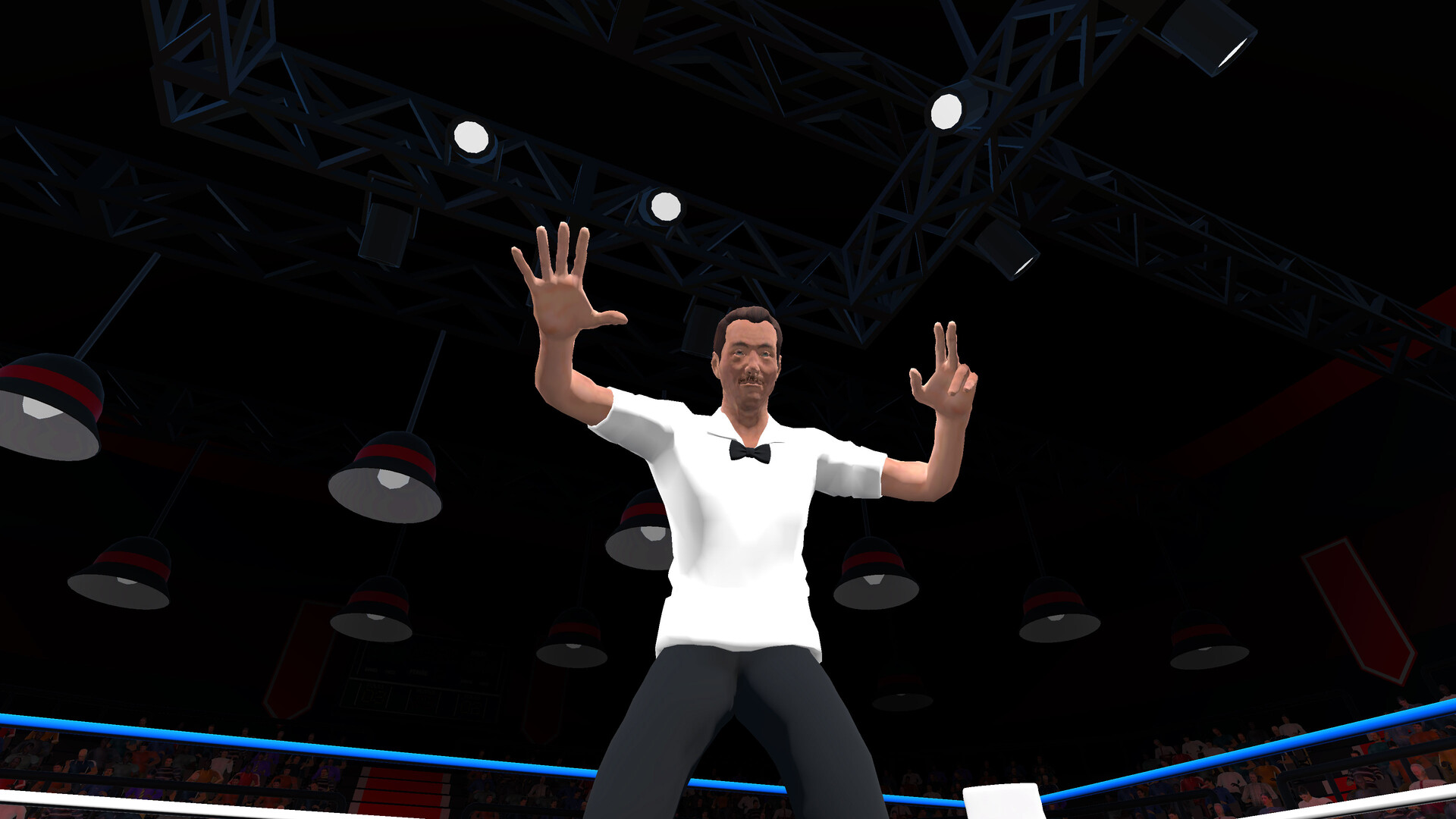 Pro Sports Boxing screenshot #8