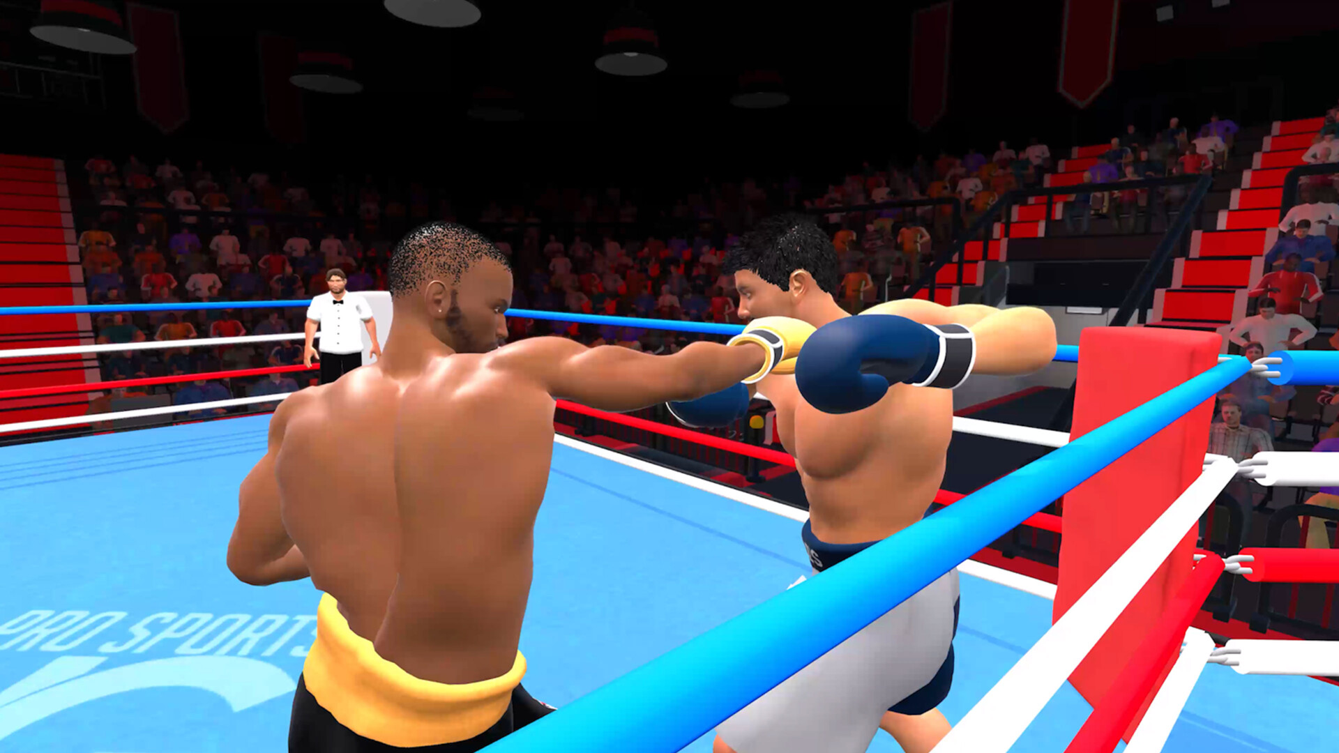 Pro Sports Boxing screenshot #5