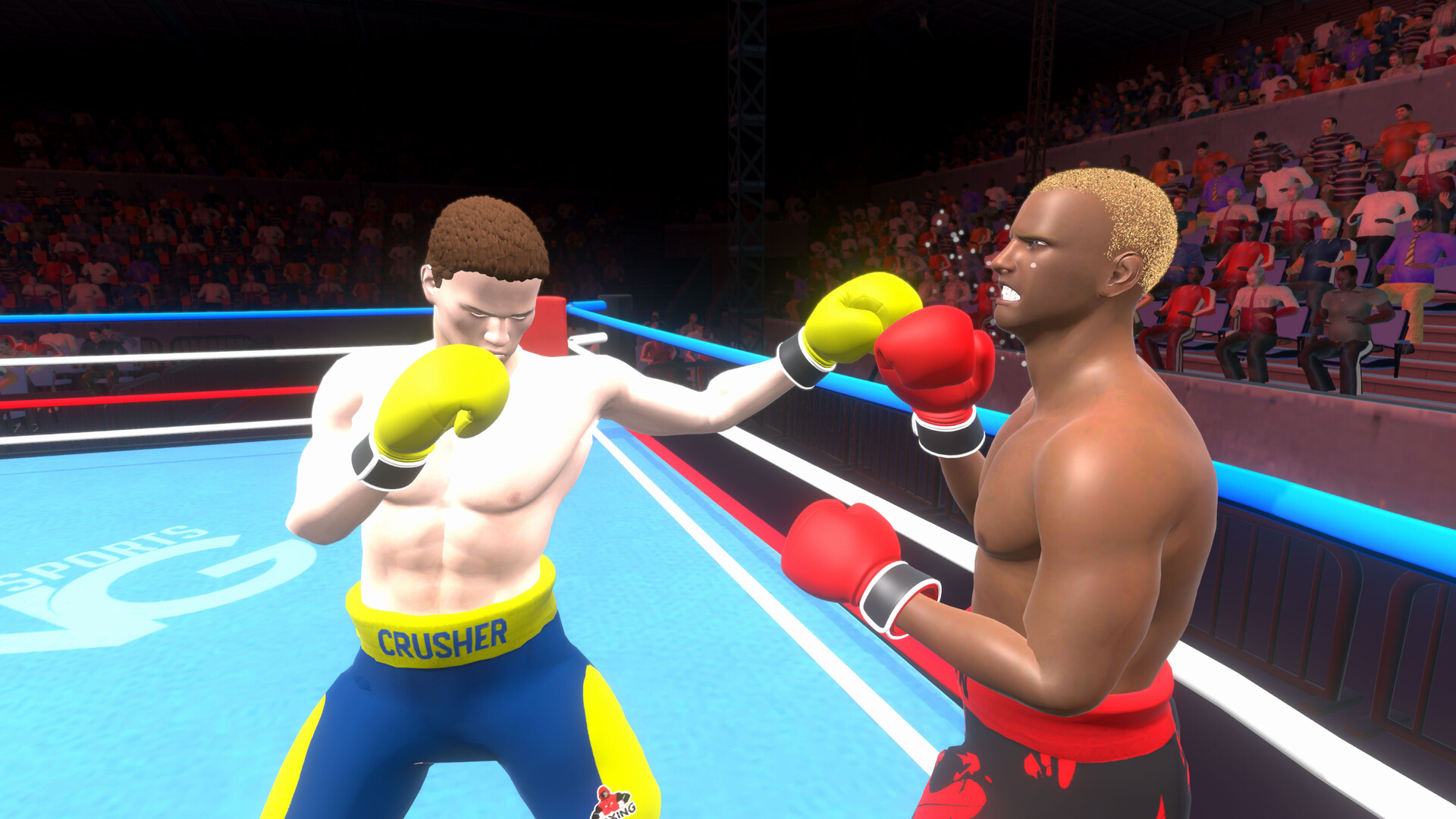Pro Sports Boxing screenshot #12