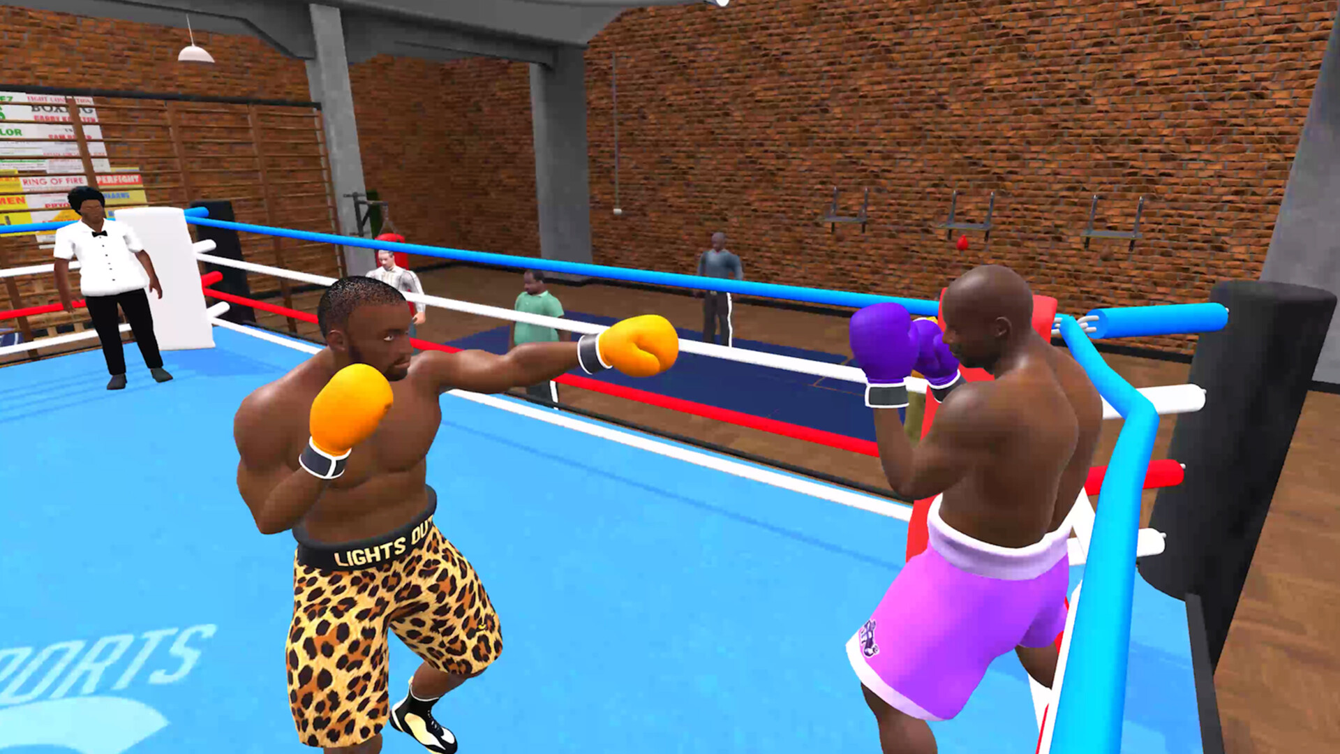 Pro Sports Boxing screenshot #10