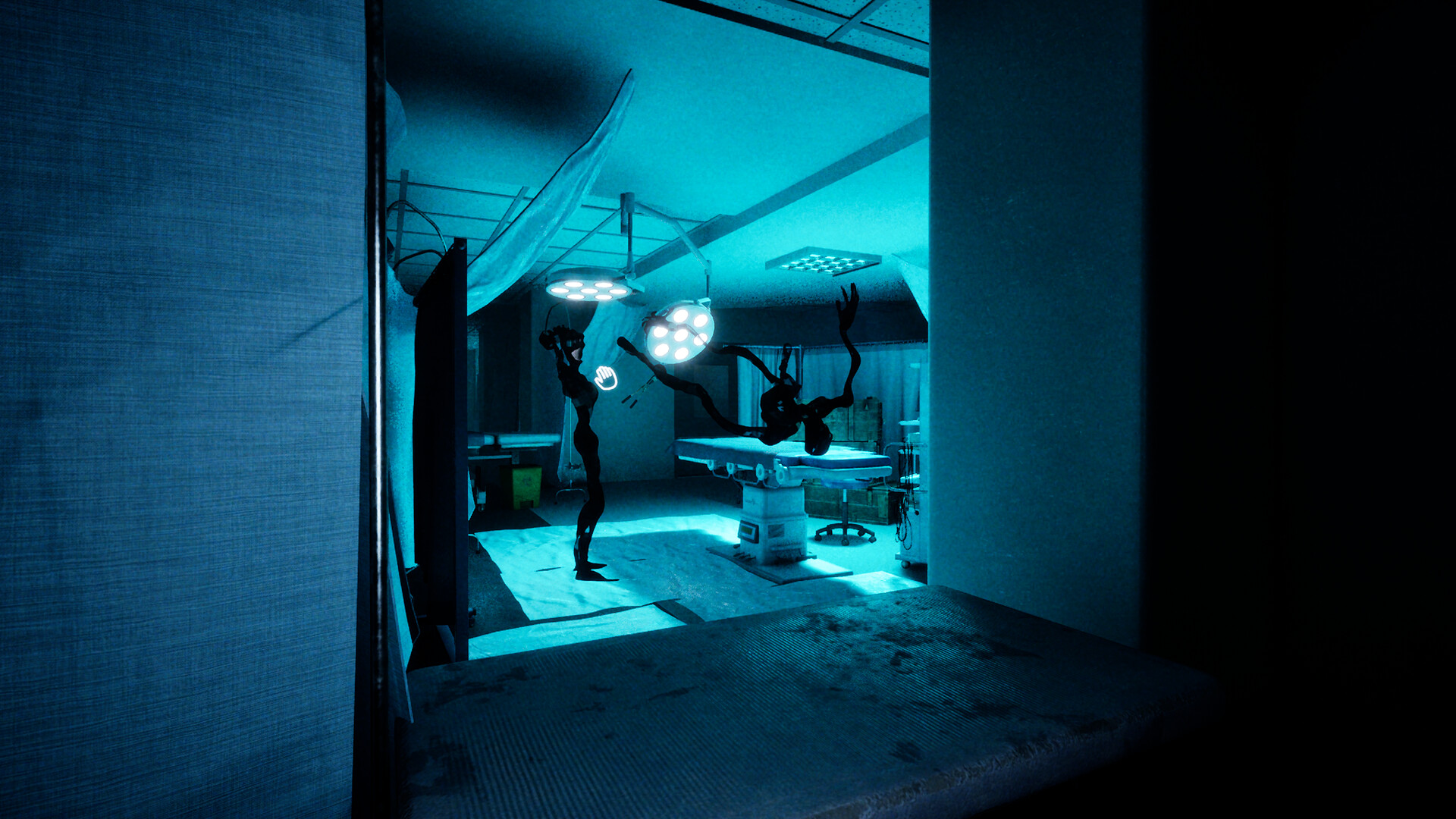 HAIGLA screenshot 4