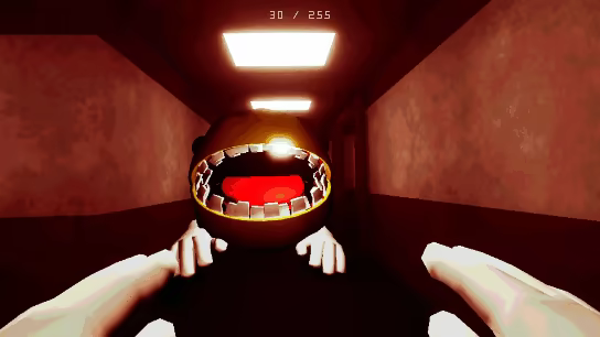 PAC-SIDE video 1