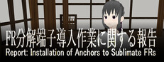 Report: Installation of Anchors to Sublimate FRs cover