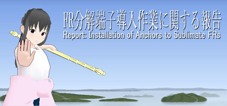Report: Installation of Anchors to Sublimate FRs