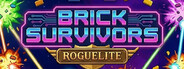 Brick Survivors: Roguelite