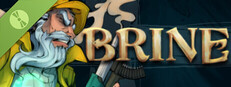 BRINE Demo