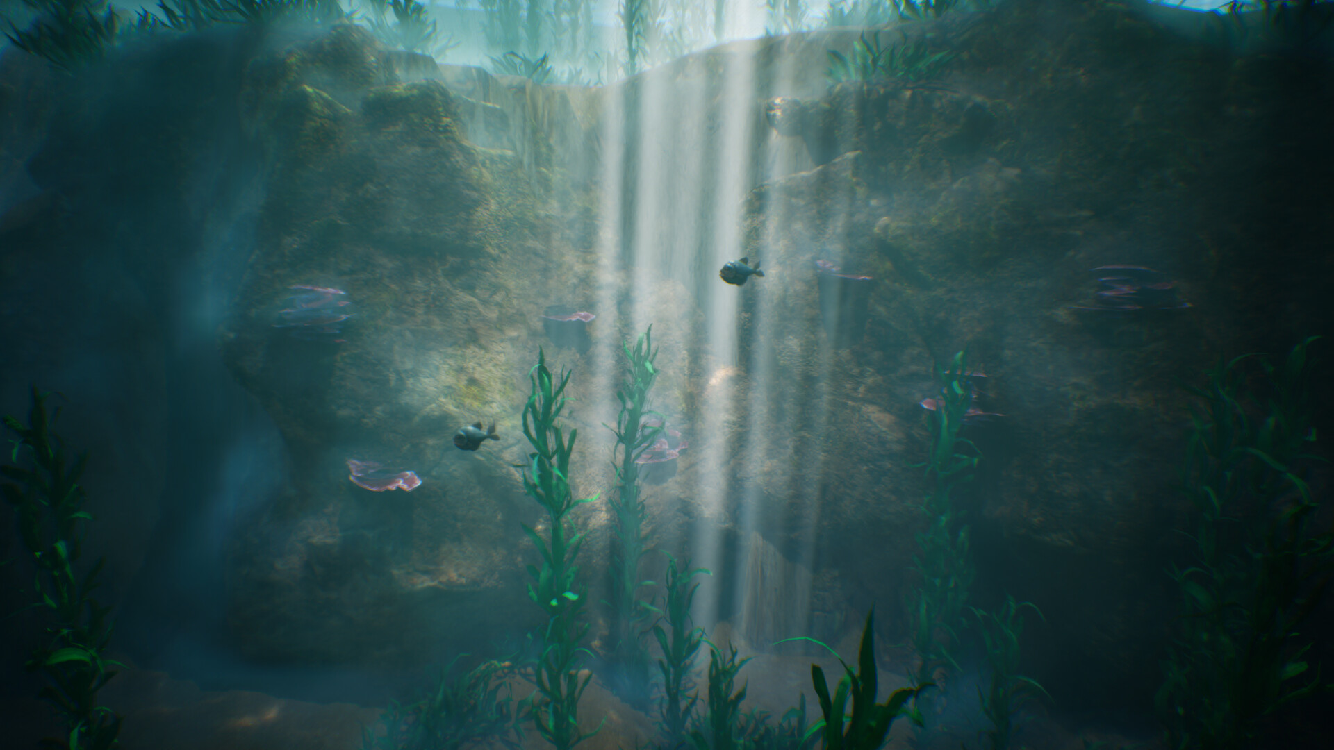 Tidepool Featured Screenshot #1