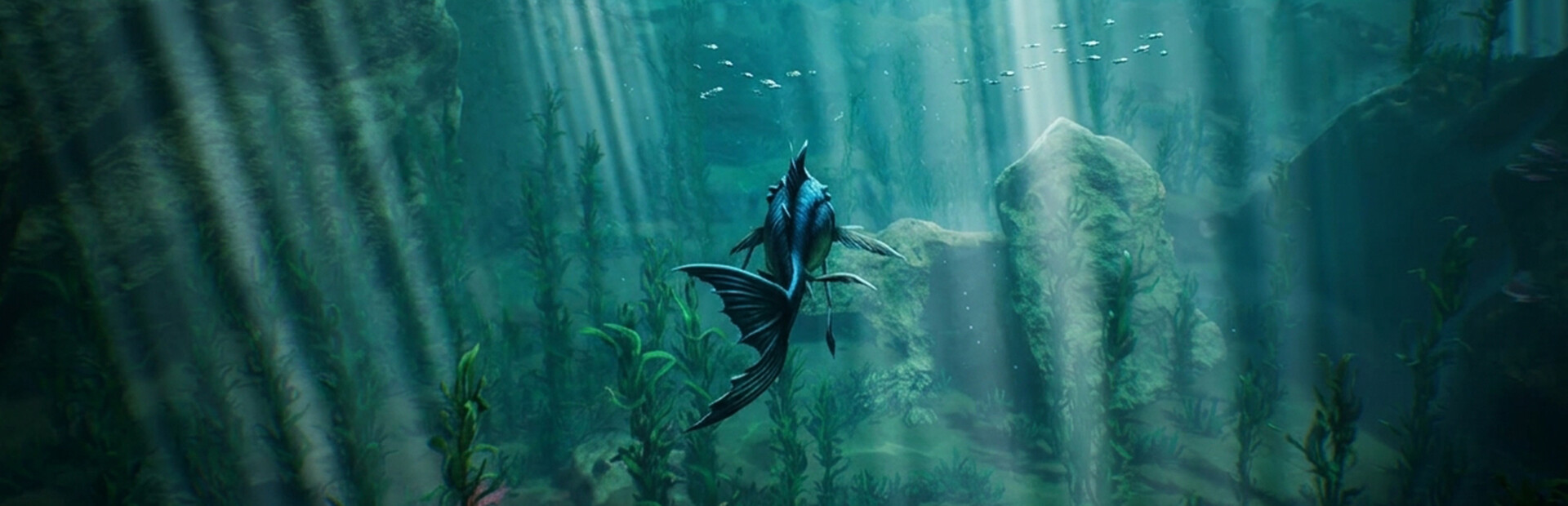 Tidepool