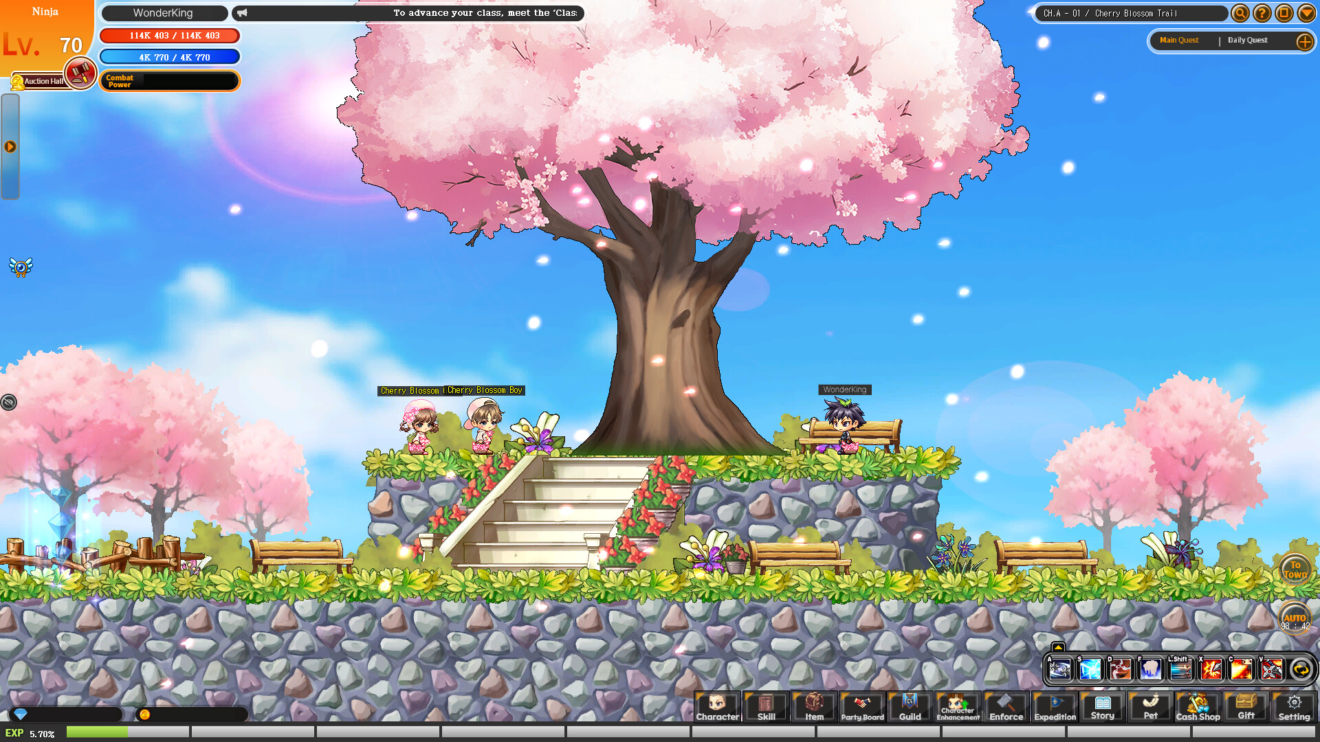 Wonderking WD screenshot 3