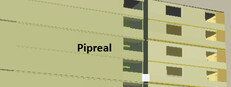Pipreal cover