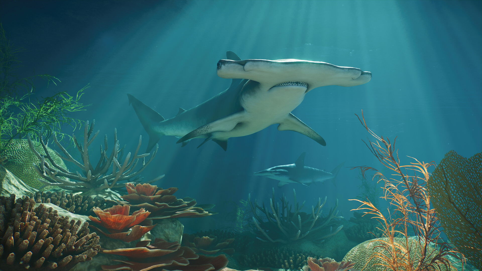 Planet Zoo 2: Deluxe Upgrade Pack screenshot 3