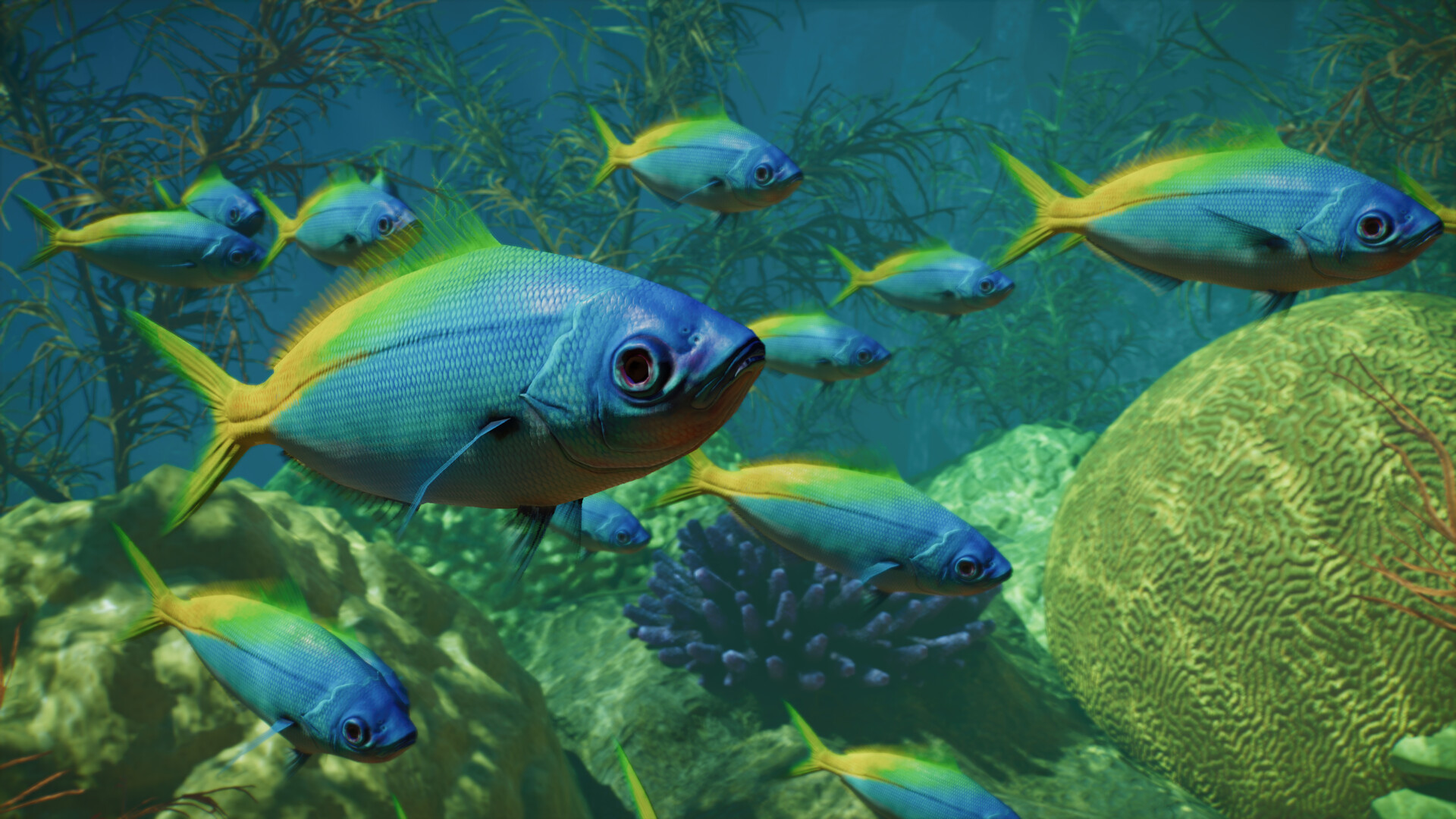 Planet Zoo 2: Deluxe Upgrade Pack screenshot
