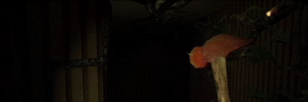 It Breathes video 2