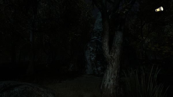 Screenshot z The Secret of Pineview Forest