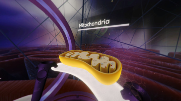 Screenshot z The Body VR: Journey Inside a Cell