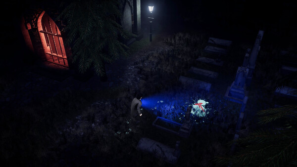 Скриншот 4 из игры Deceptive Shadows: Final Case