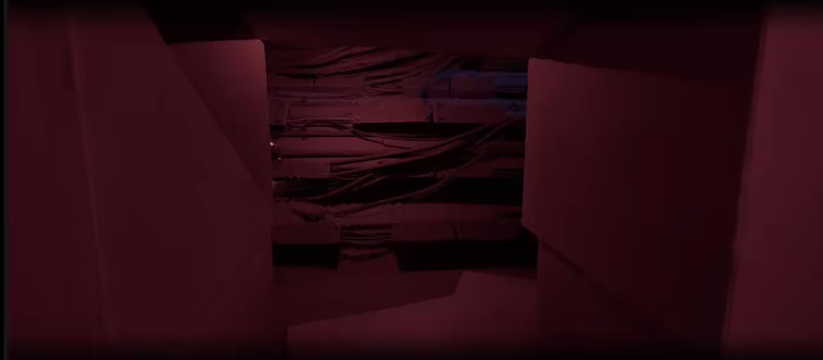 Nifland video 4